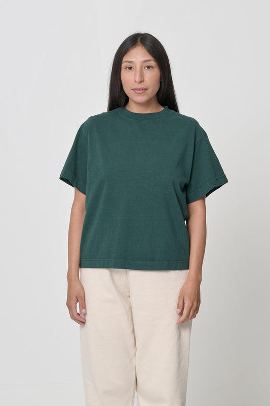 Spirulina Green Garment Dye