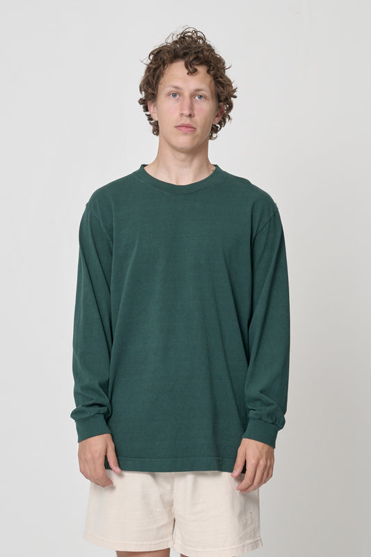 Spirulina Green Garment Dye