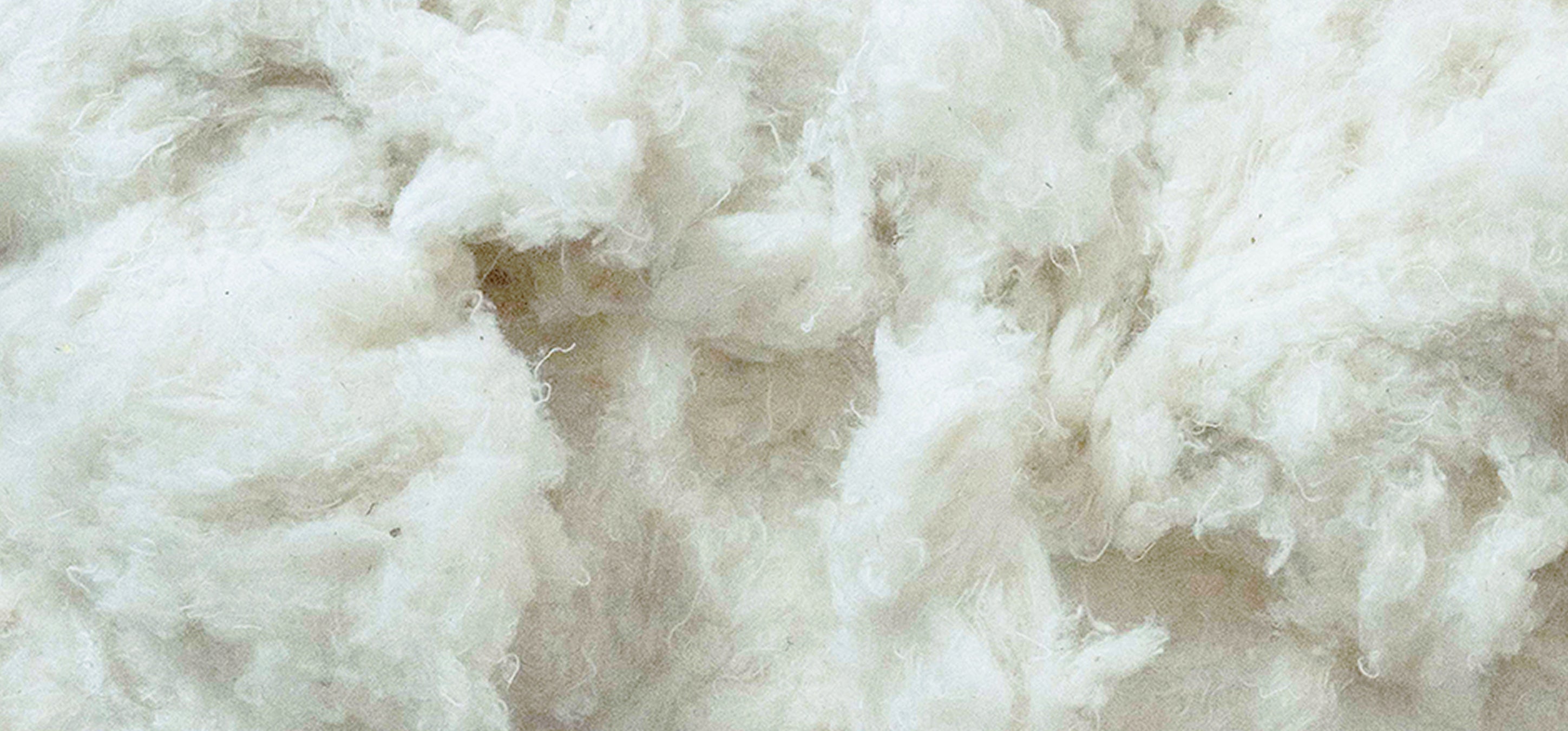 Close-up of white cotton fibers