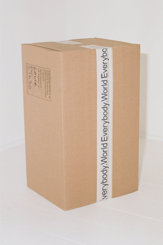 Large brown shipping box sealed with Everybody.World packing tape.