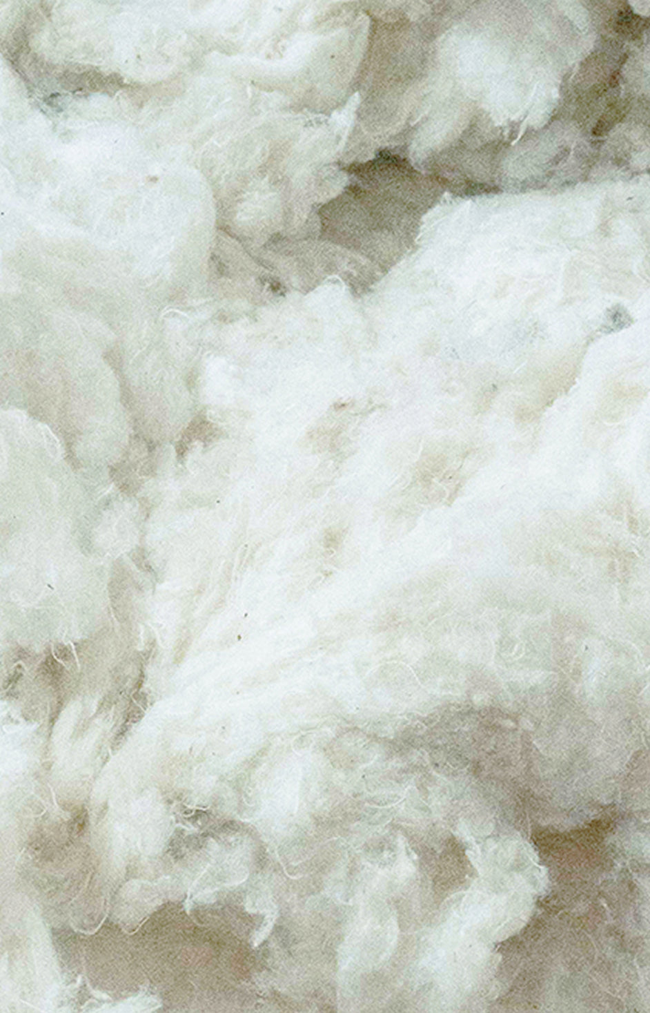 Close-up of white cotton fibers