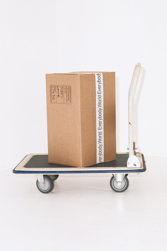 Large brown shipping box sealed with Everybody.World packing tape, on a platform dolly.
